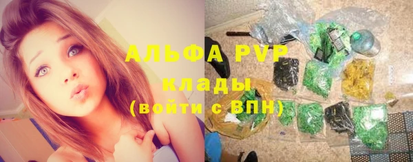 мяу мяу мука Абаза