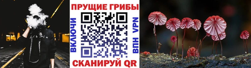 Галлюциногенные грибы GOLDEN TEACHER  даркнет как зайти  Алатырь 